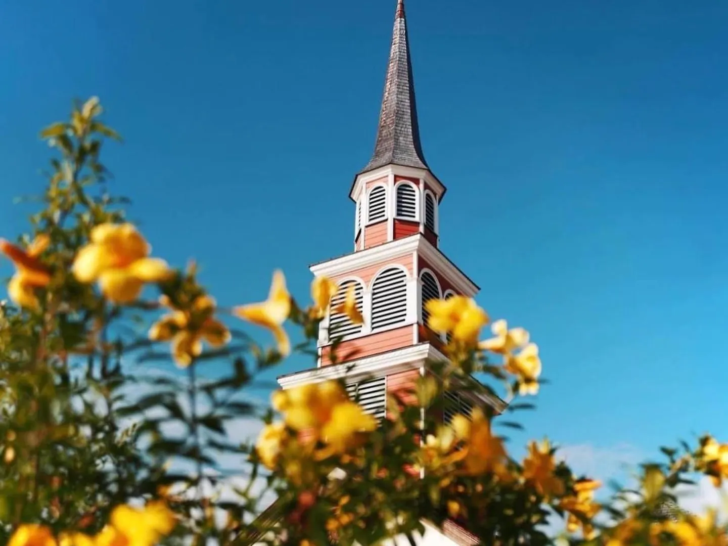 Appartement Cosy Palm&Sable Ле-Труаз-Иле